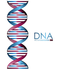 Wall Mural - DNA design, vector illustration.