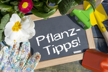  Kreidetafel mit Blumen, Handschuhen und Werkzeug
