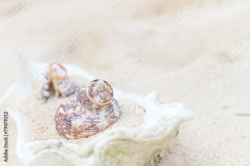 Wedding Rings On Sand And Shell Outdorr Beach Wedding Kaufen Sie