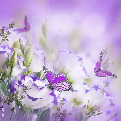 Nowoczesny obraz na płótnie Bouquet of delicate roses and butterfly, floral background