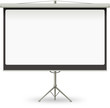 Projection screen with stand