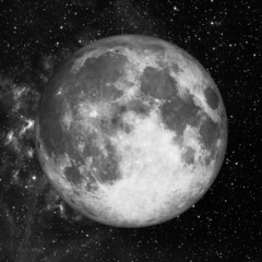 Wall Mural - moon