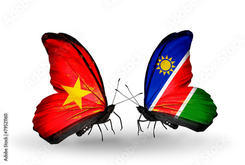 Fotografie, Obraz Two butterflies with flags Vietnam and Namibia