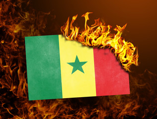 Flag burning - Senegal