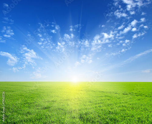 field and sun