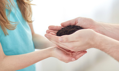 Canvas Print - close up of father and girl hands holding sprout