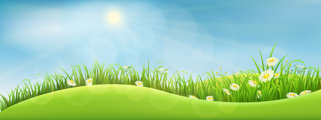 green summer landscape, vector illustration