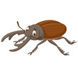 Cartoon stag beetle