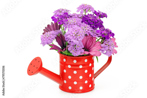 giesskanne mit blumen Stock Photo Adobe Stock