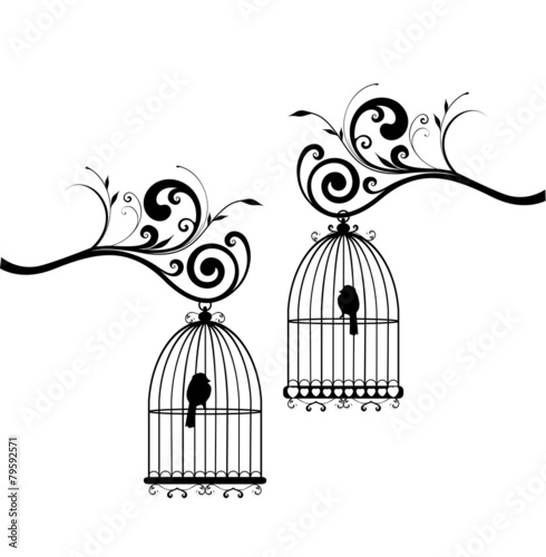 Naklejka dekoracyjna Czarno-białe klatki ptaków na gałęziach