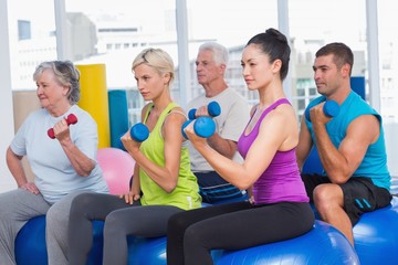 Wall Mural - People working out with dumbbells in gym class