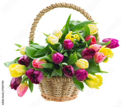 Obraz w ramie bouquet of yellow and purple tulip flowers