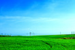 © Ruslan Ivantsov - Beautiful spring field with the blue sky