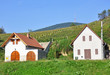 Building of the wine cellars, Tokaj city, Hungary