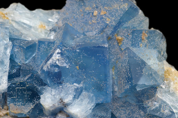 Canvas Print - Blue fluorite crystals. Macro shot of a fine museum piece.