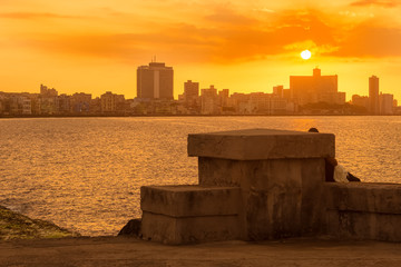 Wall Mural - Colorful sunset in Havana with El Malecon seawall