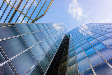 office buildings. glass silhouettes. skyscrapers