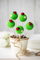 Wall Mural - Ladybug cake pops