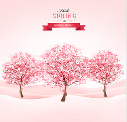 Fototapete - Spring background with blossoming sakura trees. Vector.