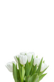 Fototapeta Tulipany - Tulpenstrauß mit Textfreiraum oben