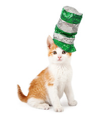 Wall Mural - Cat Wearing Sequin St Patricks Day Hat