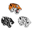 Coloring book tiger roar cartoon character