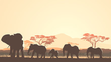 Horizontal Illustration Of Wild Animals In African Sunset Savann