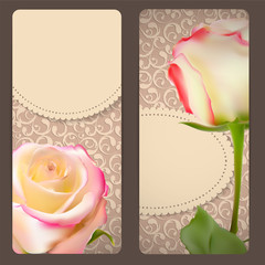 Beautiful Floral Cards with  Realistic Rose Flowers Vector Illus