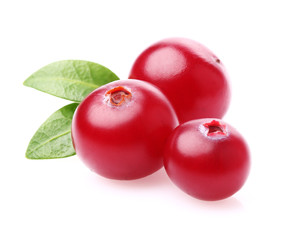 Poster - Cranberry in closeup