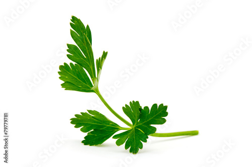 Fotomural green leaves of parsley isolated on white background