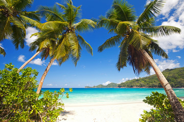 Canvas Print - Strandblick auf den Seychellen