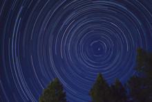 Star Trails With Trees