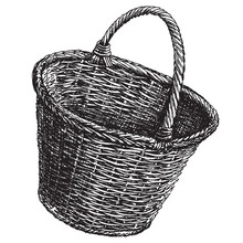 Wicker Basket On A White Background. Sketch
