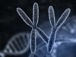 Man and woman chromosomes