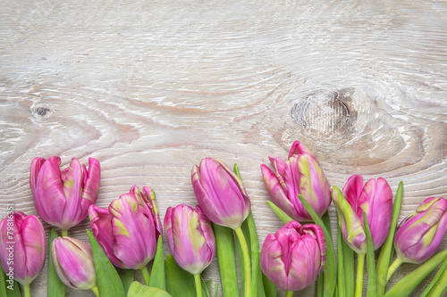 Naklejka nad blat kuchenny tulips on a wooden background