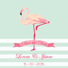 Save The Date - Wedding Card With Flamingo Birds - In Vector