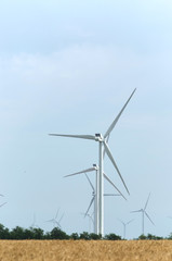 a wind farm in the wide spread field