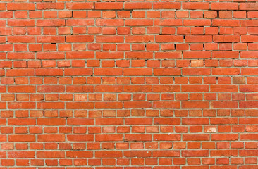 Poster - Red brick wall background