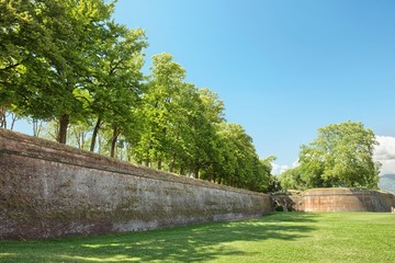 Canvas Print - Defense system - a wall in the Tuscan town of Lucca