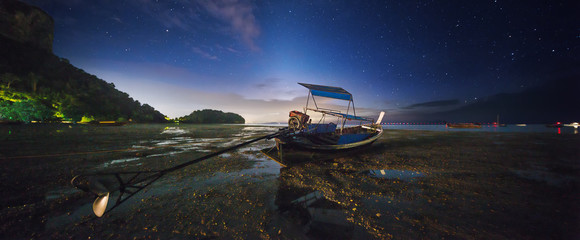 Wall Mural - night tropical landscape. thailand