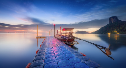Wall Mural - night tropical landscape. thailand