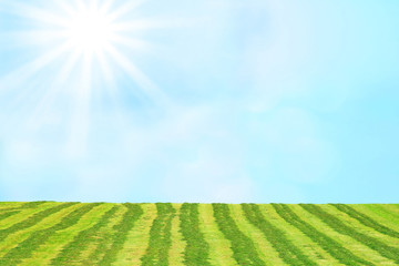 hay field and airy sky background with sun