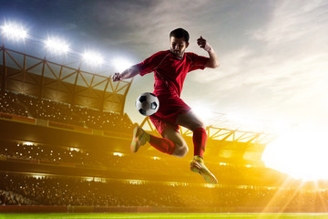 Wall Mural - Soccer player in action