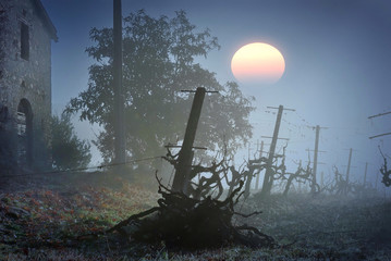 Wall Mural - Casolare di campagna all'alba