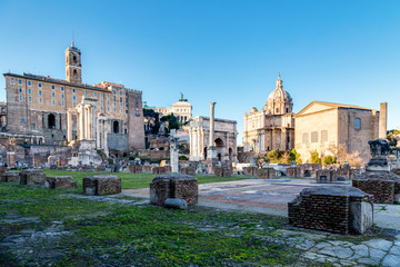 Wall Mural - Roman Forum in Rome, Italy