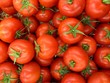 tomates du marché