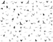 © Marinka Alisen - silhouettes of birds seamless pattern