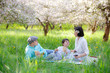 © levranii - Young family picnicking in blooming apple garden