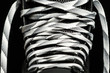 Hockey laces close up
