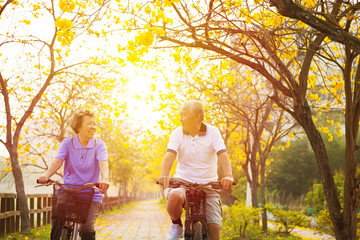 Sticker - happy senior couple ride on bicycle  in the park